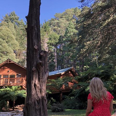 Chudleigh Park Cottages Sassafras Екстер'єр фото