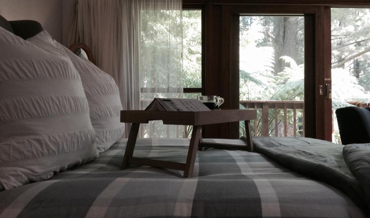 Chudleigh Park Cottages Sassafras Екстер'єр фото