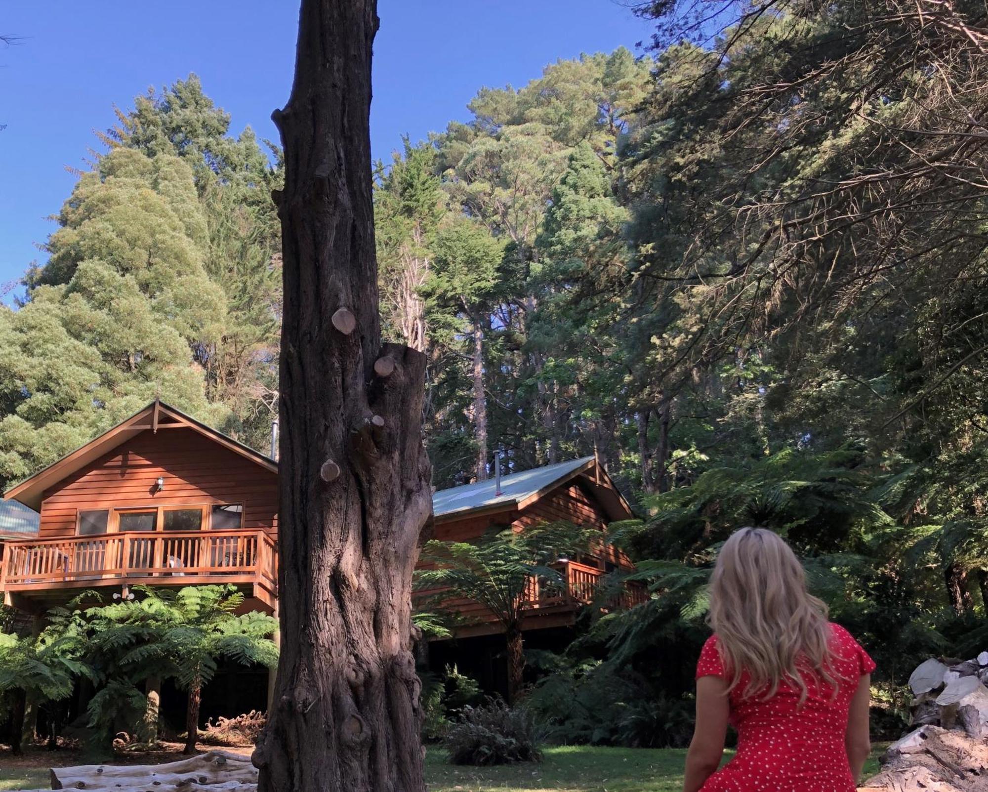 Chudleigh Park Cottages Sassafras Екстер'єр фото