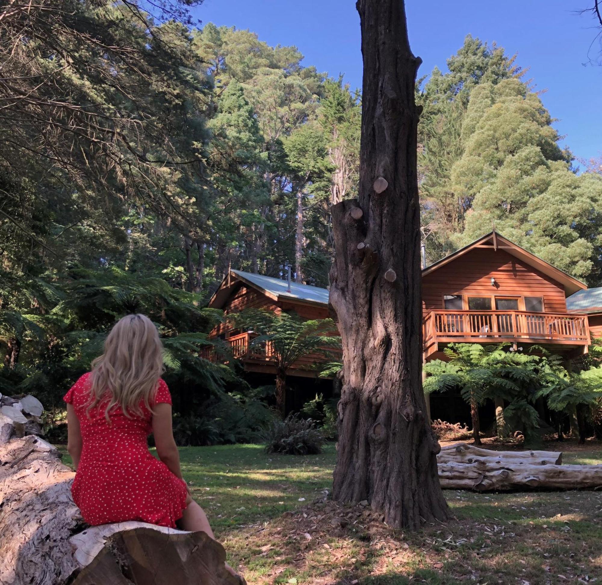 Chudleigh Park Cottages Sassafras Екстер'єр фото